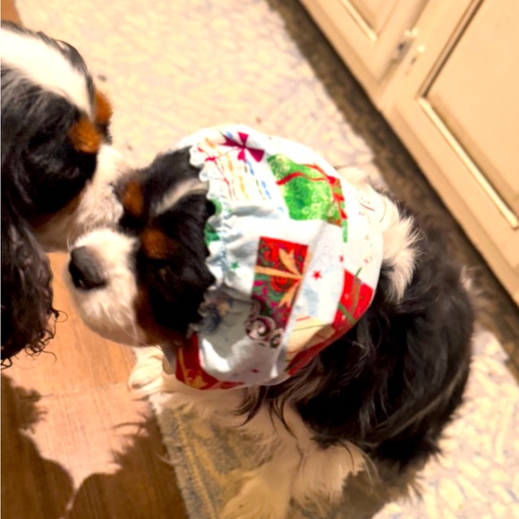 SNOOD Long Eared Dog Hat for Mealtime & Feeding - Picture 16 of 17
